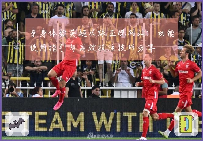 亲身体验英超买球正规网站：功能使用指引与高效投注技巧分享