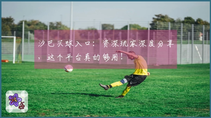 沙巴买球入口：资深玩家深度分享，这个平台真的够用！